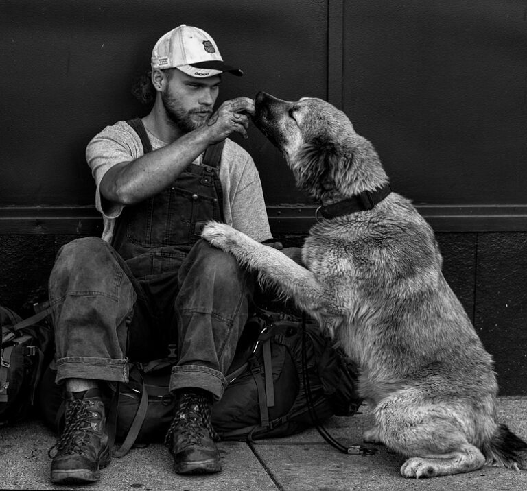 Man’s Best Friend: Why Humans Adore Their Pets